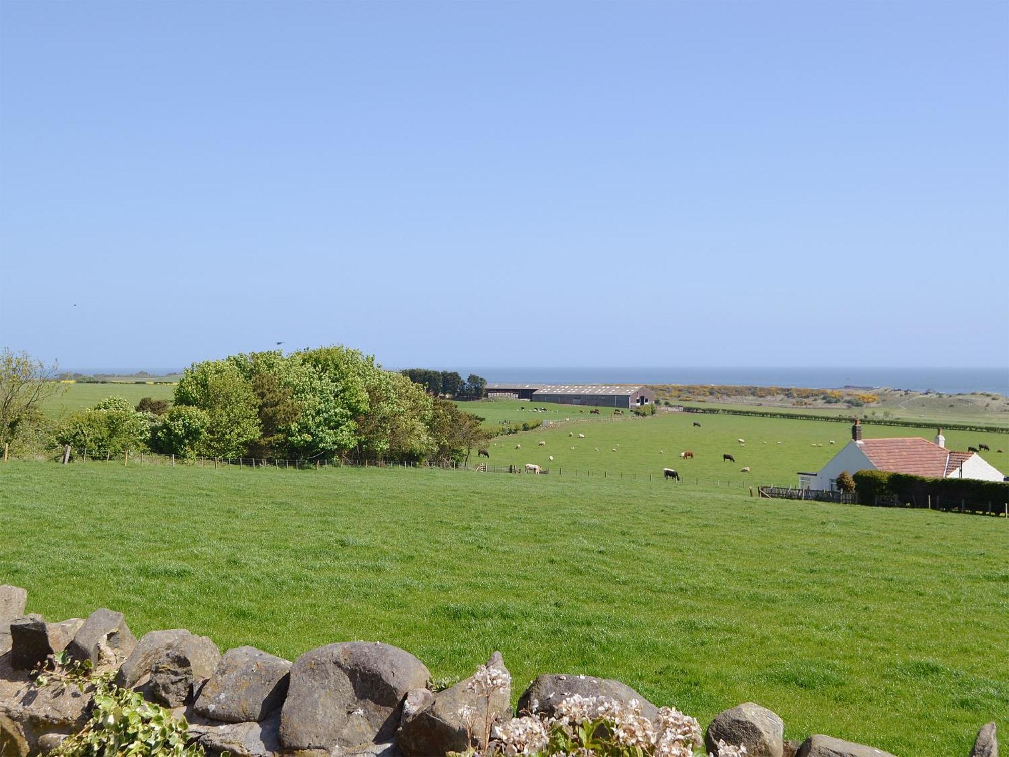 Eider Cottage Embleton  Exterior photo